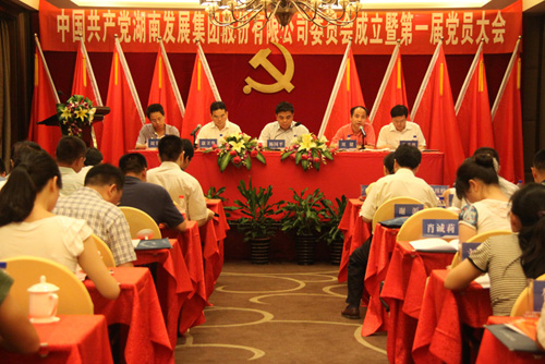 中共星空（中国）官方体育网站委员会成立大会暨公司第一届党员代表大会胜利召开